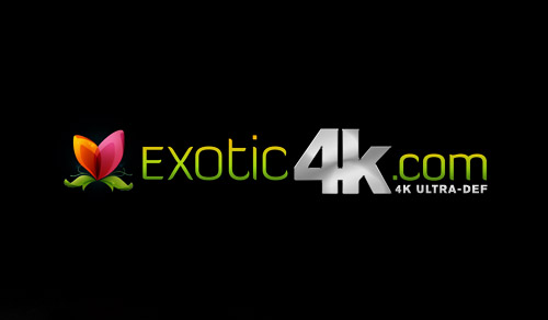 Exotic4K Discount
